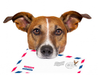 giveaway-letsextract-email-studio-4-3-lite-for-free-200x153